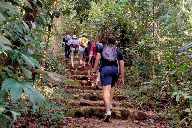 Chiang Mai: Doi Suthep Summit Trek – 7 Hour Pure Hiking Adventure - Ban Khun Chang Khian and lunch with a hill tribe