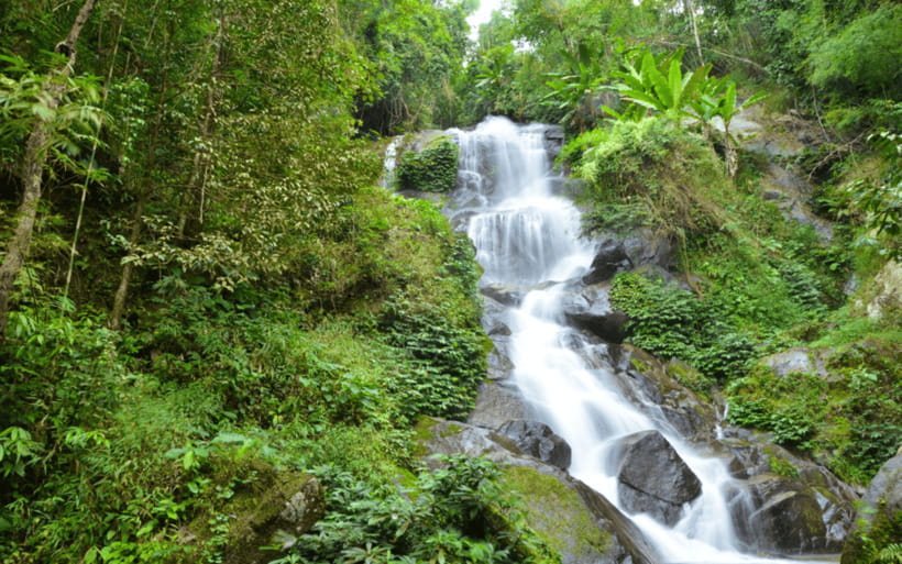 Chiang Mai: Doi Suthep Temple and Waterfall by Songtaew Trio - Huay Kaew Waterfall: an easy first stop