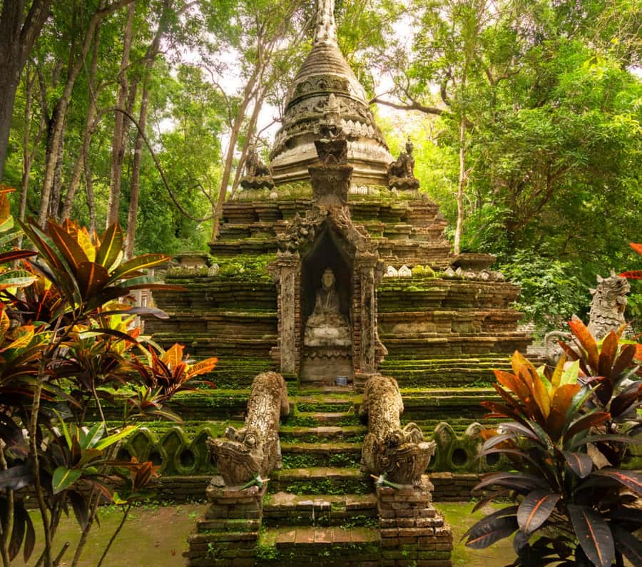 Chiang Mai: Doi Suthep Temple & Sticky Waterfall Trip - Key points to know before booking