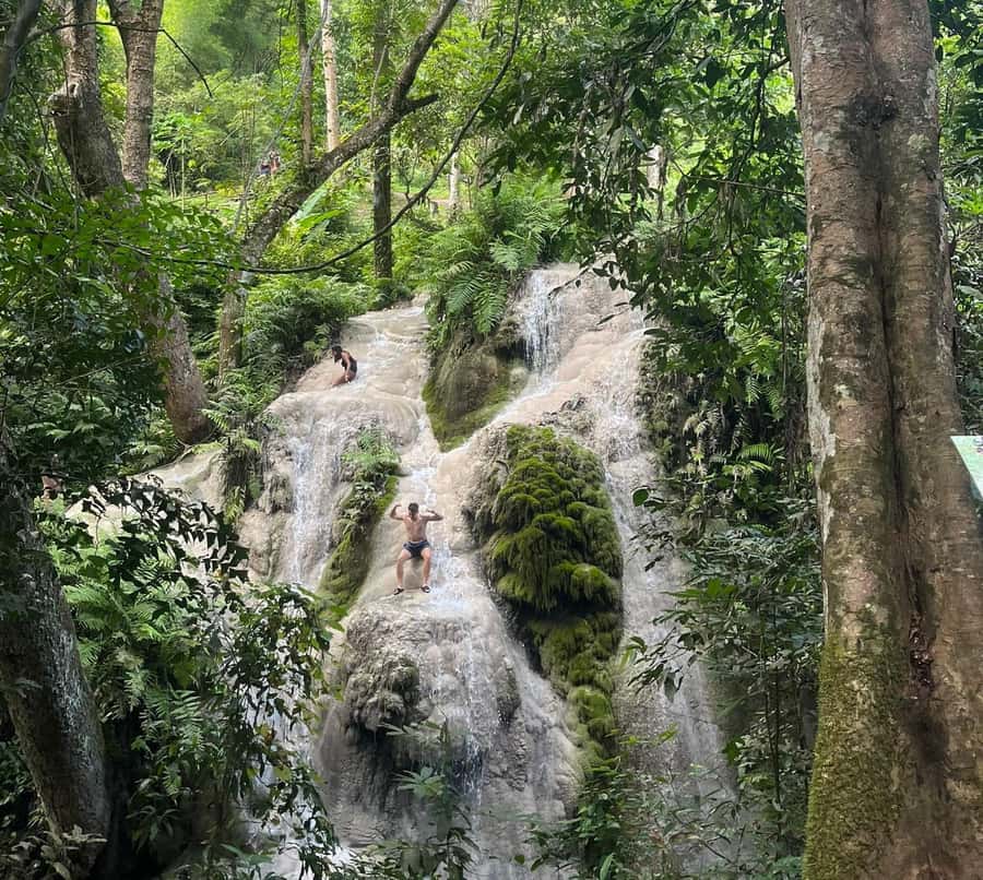 Chiang Mai: Doi Suthep Temple & Sticky Waterfall Trip - Orchids and butterflies before lunch