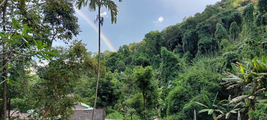 Chiang Mai: Doi Suthep Temple & Sticky Waterfall Trip - How the $76 price holds up