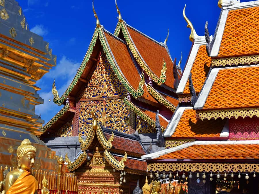 Chiang Mai: Doi Suthep Temple & Sticky Waterfall Trip - What to bring and what to expect