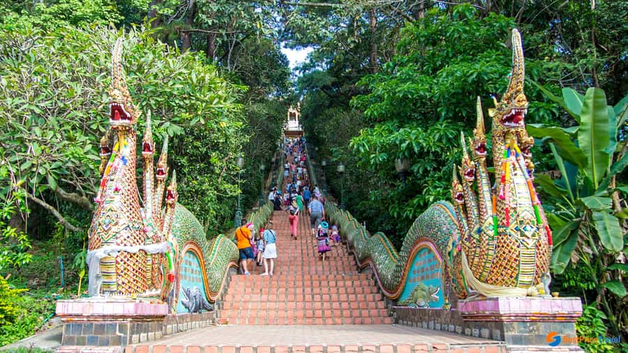 Chiang Mai: Doi Suthep, Wat Pha Lat & Wat Umong Spanish Tour - Practical details before you go