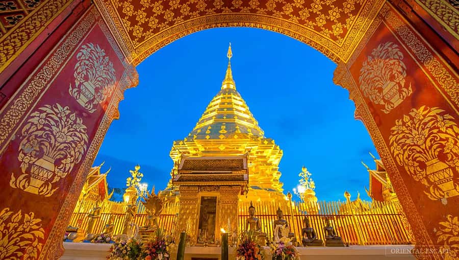Chiang Mai: Doi Suthep, Wat Pha Lat & Wat Umong Spanish Tour - Wat Pha Lat, the forest temple worth lingering over