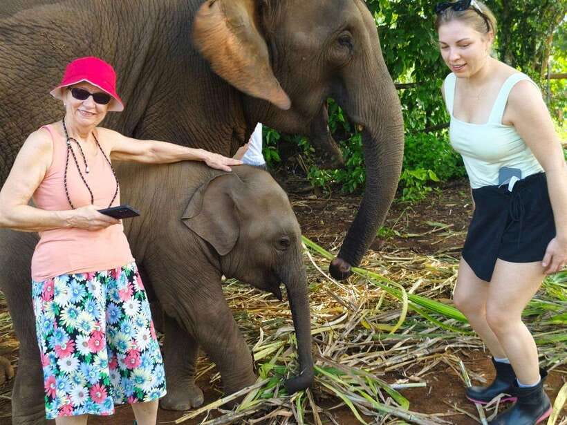 Chiang Mai: Elephant Sanctuary, Monk Trail & Doi Suthep Tour - Key points to know before booking