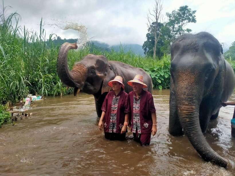 Chiang Mai: Elephants, Sticky Waterfalls, Market and Temple - Climbing Bua Thong Sticky Waterfalls
