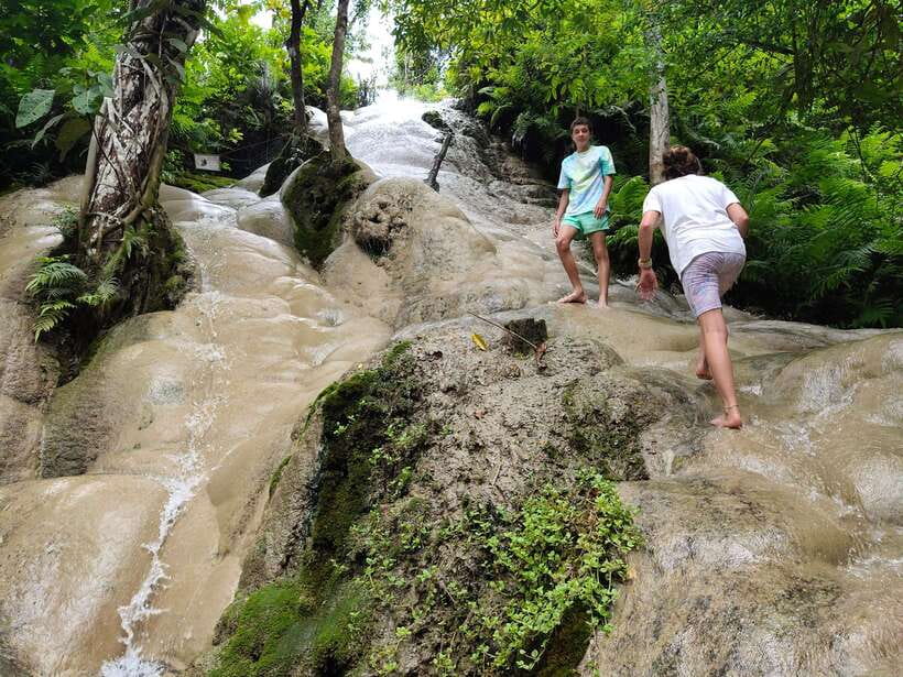 Chiang Mai: Elephants, Sticky Waterfalls, Market and Temple - A local lunch with room to taste