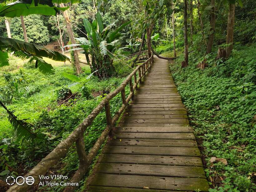 Chiang Mai: Elephants, Sticky Waterfalls, Market and Temple - Is the $70 price good value?