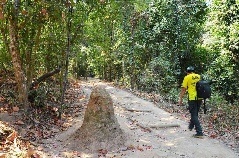 Chiang Mai: Hike on Monk’s Trail and Doi Suthep Private Tour - Guides, language, and the feel of the outing