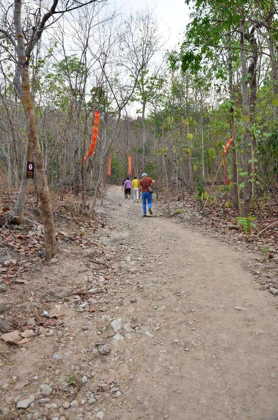 Chiang Mai: Hike on Monk’s Trail and Doi Suthep Private Tour - What to wear and carry