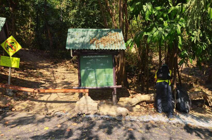 Chiang Mai: Hike on Monk’s Trail and Doi Suthep Private Tour - Who should book this Chiang Mai tour?