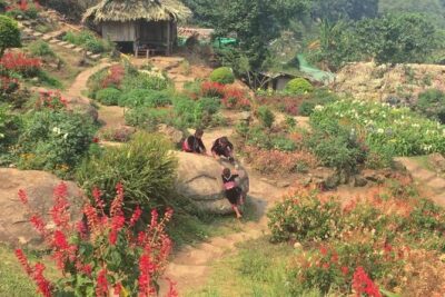 Chiang Mai Iconic Temples and City Tour