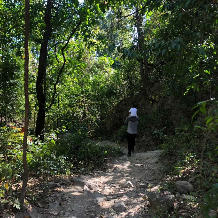 Chiang Mai Monk's Trail Wat Pha Lat & Visit Wat Doi Suthep - Why Wat Pha Lat makes the morning worthwhile