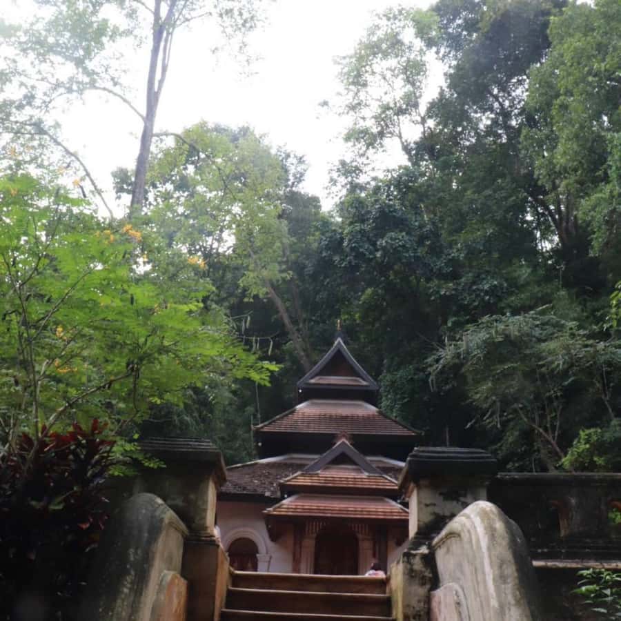 Chiang Mai Monk's Trail Wat Pha Lat & Visit Wat Doi Suthep - Who should book this experience