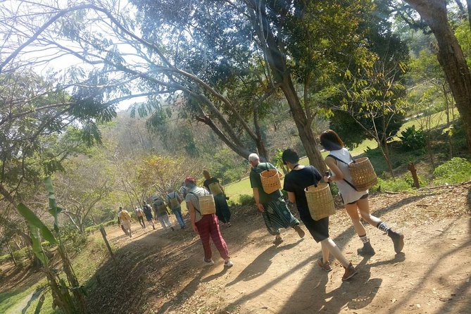 Chiang Mai Private Tour with Tea Plantation, Karen Village, Doi Suthep - Karen Long Neck Village and the ethical question