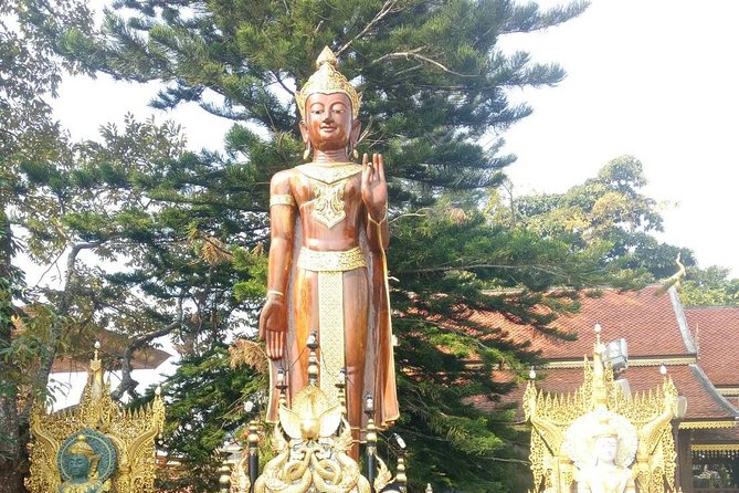 Chiang Mai Private Tour with Tea Plantation, Karen Village, Doi Suthep - Who should choose this tour