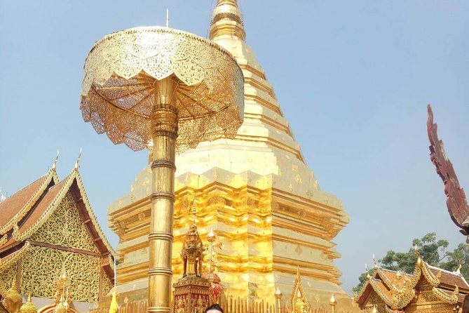 Chiang Mai Private Tour with Tea Plantation, Karen Village, Doi Suthep - Tea production in Chiang Mai’s hill country