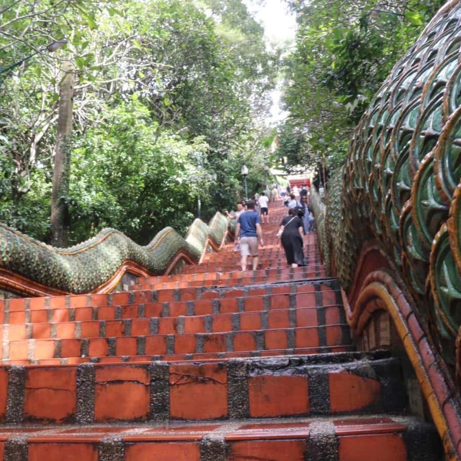 Chiang Mai Sunset Point,Wat Pha Lat,Wat Doi Suthep,Wat Umong - Four Chiang Mai sights in one afternoon