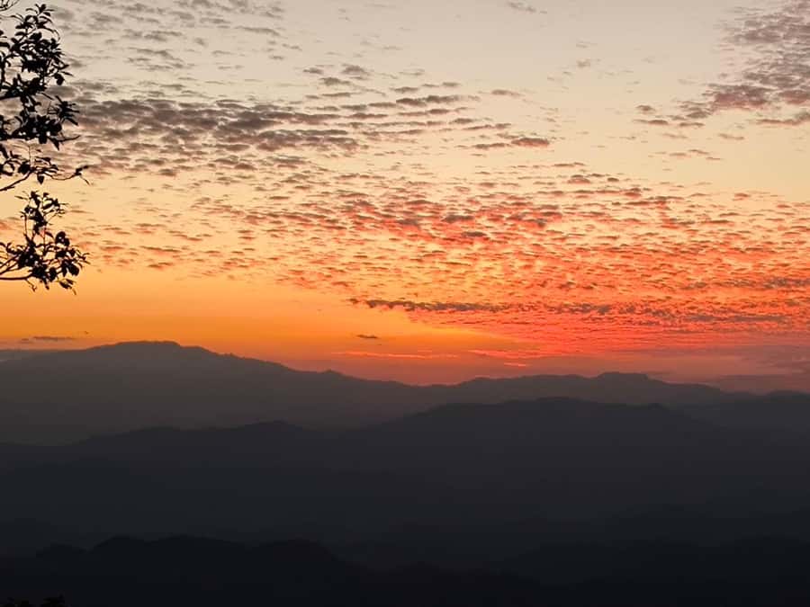 Chiang Mai Sunset Point,Wat Pha Lat,Wat Doi Suthep,Wat Umong - What the $73 price includes