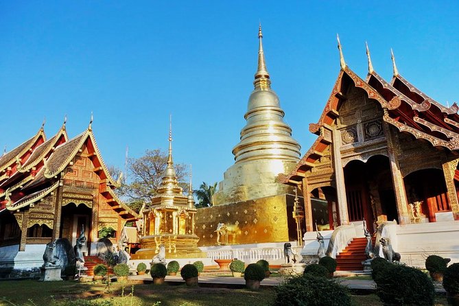 Chiang Mai Temples & City - Wat Suan Dok and the white chedis