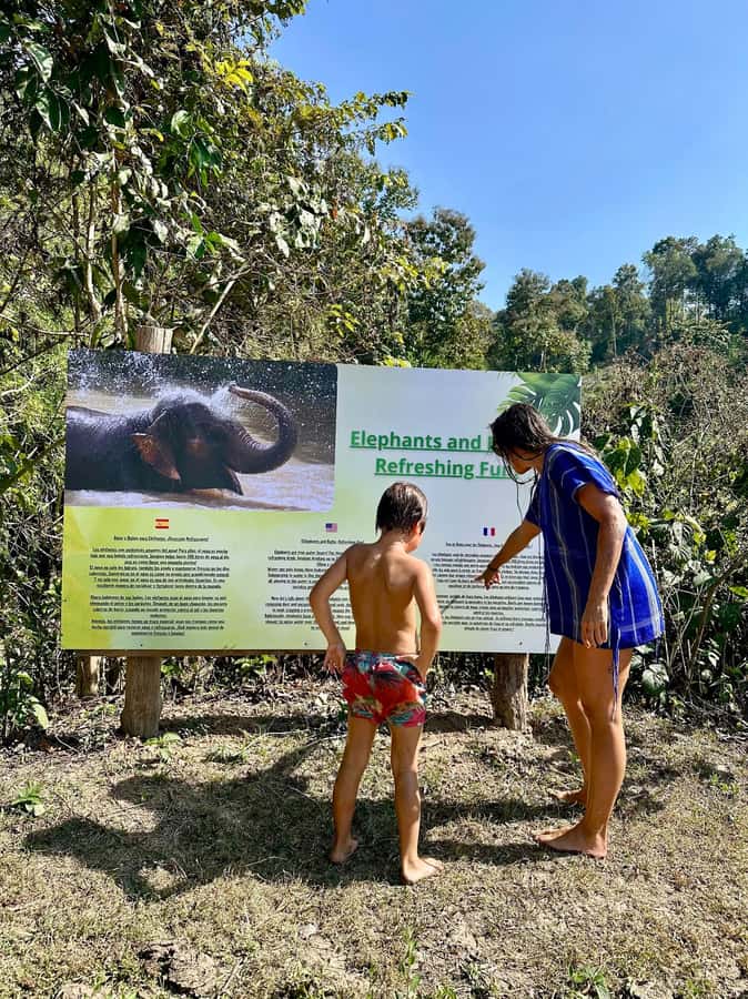 Chiang Mai: Two-day Temple of Elephants Sanctuary Tour - Practical packing advice