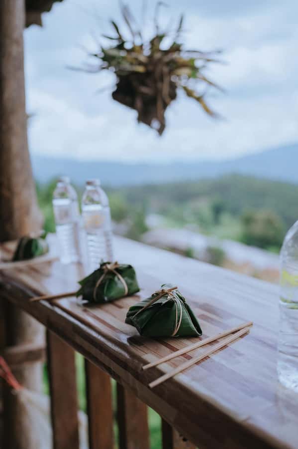 Chiang Mai: Two-day Temple of Elephants Sanctuary Tour - Why this Chiang Mai elephant trip feels different