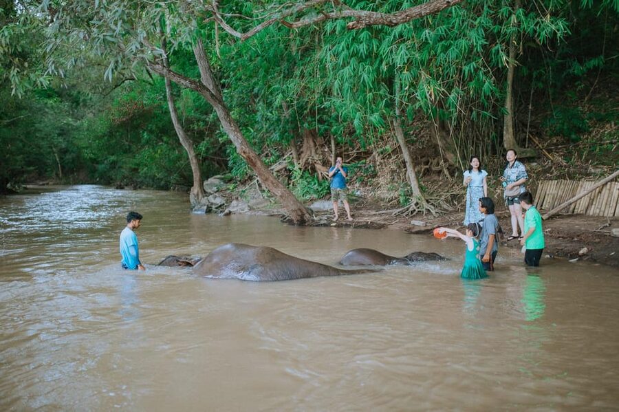 Chiang Mai: Two-day Temple of Elephants Sanctuary Tour - Morning breakfast and the elephant camp