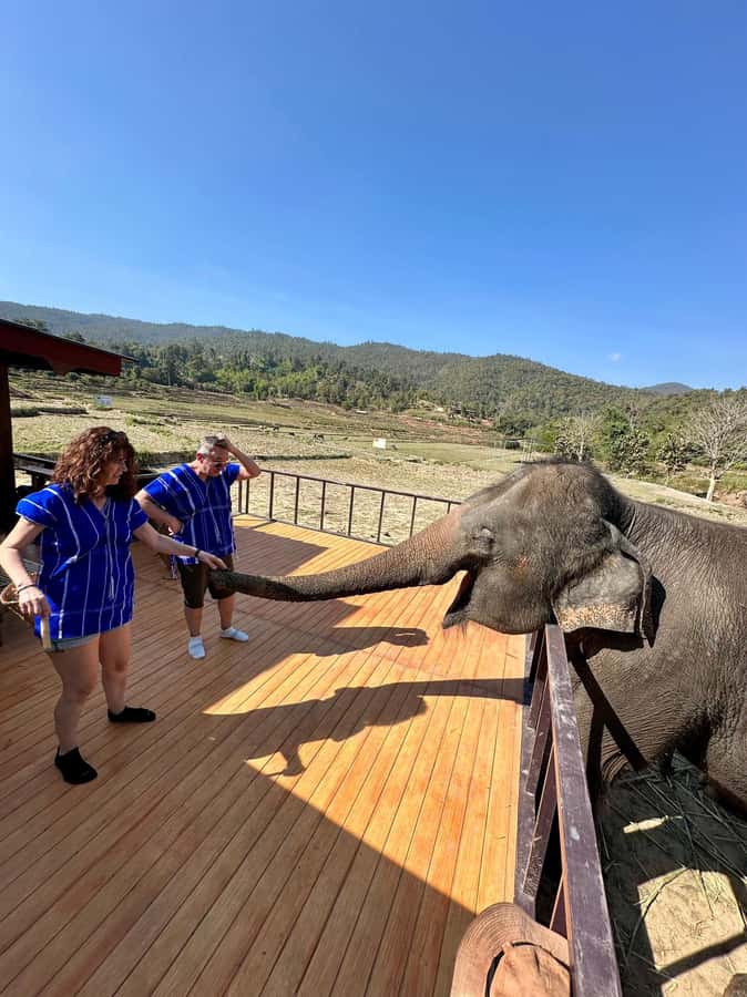 Chiang Mai: Two-day Temple of Elephants Sanctuary Tour - Waterfalls, lunch, and the return to Chiang Mai
