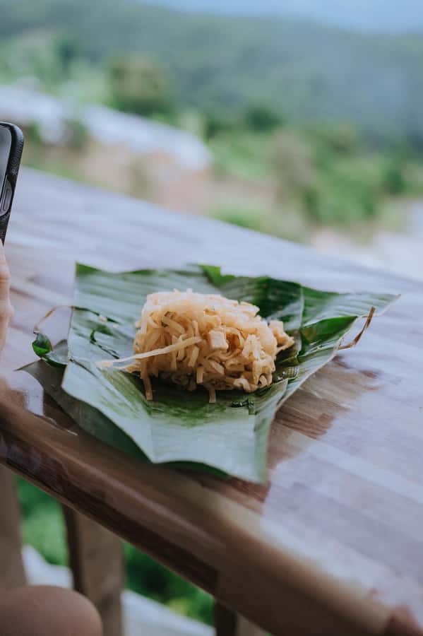 Chiang Mai: Two-day Temple of Elephants Sanctuary Tour - Who should book this trip