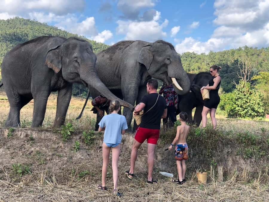 Chiang Mai: Two-day Temple of Elephants Sanctuary Tour - From Chiang Mai hotels to the Mae Wang River