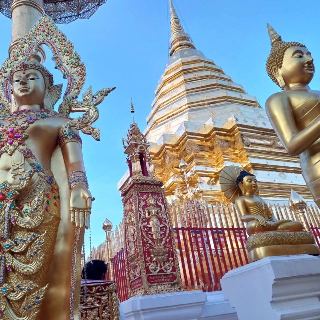 Chiang Mai: Wat Pha Lat & Wat Phra That Doi Suthep Tour - Key points worth knowing