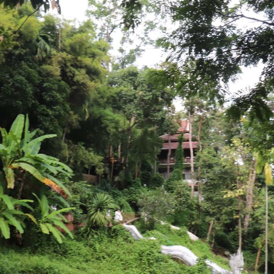 Chiang Mai: Wat Umong, Wat Pha Lat And Wat Doi Suthep Tour - What the Five-and-a-Half-Hour Schedule Feels Like