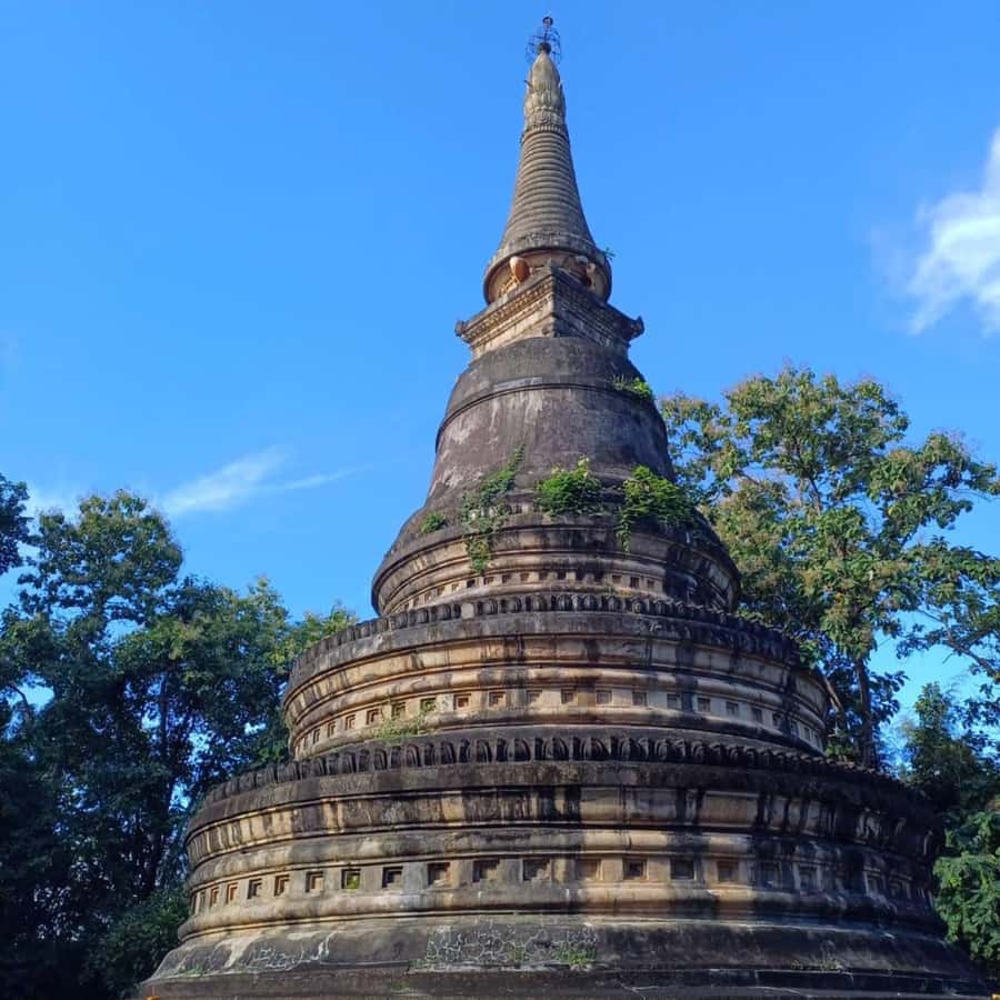 Chiang Mai: Wat Umong, Wat Pha Lat And Wat Doi Suthep Tour - Guide Quality and the Value of a Private Group