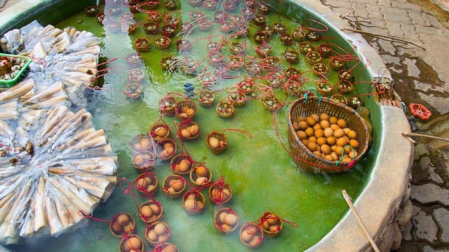 Chiang Mai: White and Blue Temples and Lalita Cafe - Lalita Cafe and its flower gardens
