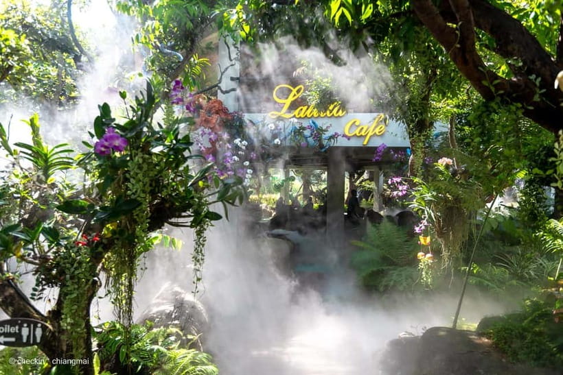 Chiang Rai: 3 Temples, Long Neck Village & Lalitta Café - Lalitta Café ends the day with mist and greenery