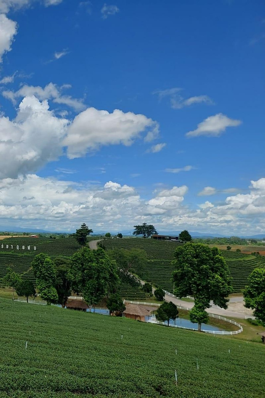 Chiang Rai: Temple Treasures & Popular Sightseeings (Buffet) - Why this Chiang Rai day works
