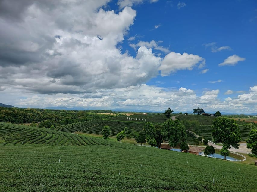 Chiang Rai: Temple Treasures & Popular Sightseeings (Buffet) - Baan Dam shows Chiang Rai’s darker artistic side