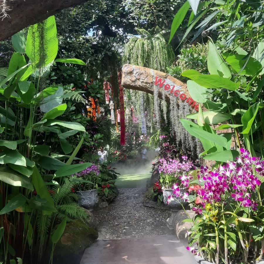 Chiang Rai: Temples Trip with Sang Kaew and Lalitta Cafe - Why this Chiang Rai day trip works
