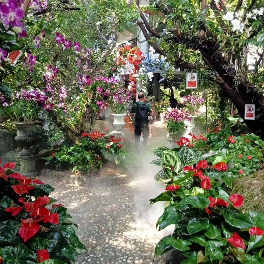 Chiang Rai White & Blue & Huay Pla Kang Temple& Lalitta Cafe - Wat Rong Khun, the White Temple