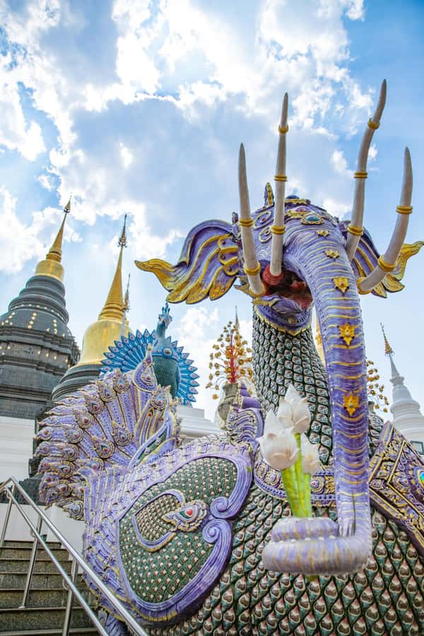 Chiangmai : Sticky waterfall & Land of angels & Wat ban den. - Why this Chiang Mai day trip works