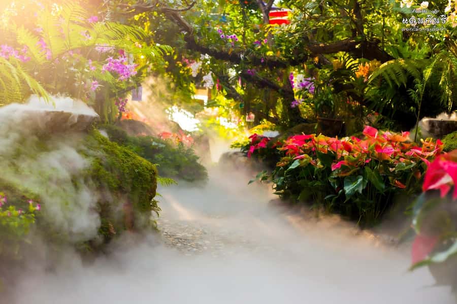Chiangmai to Chiangrai: 3 Temples, Hot Springs& Lalitta Cafe - Lalitta Cafe, waterfalls and a shorter visit than expected