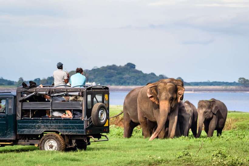 Colombo/Negombo: Sigiriya, Dambulla, and Minneriya Safari - What the $70 price really covers