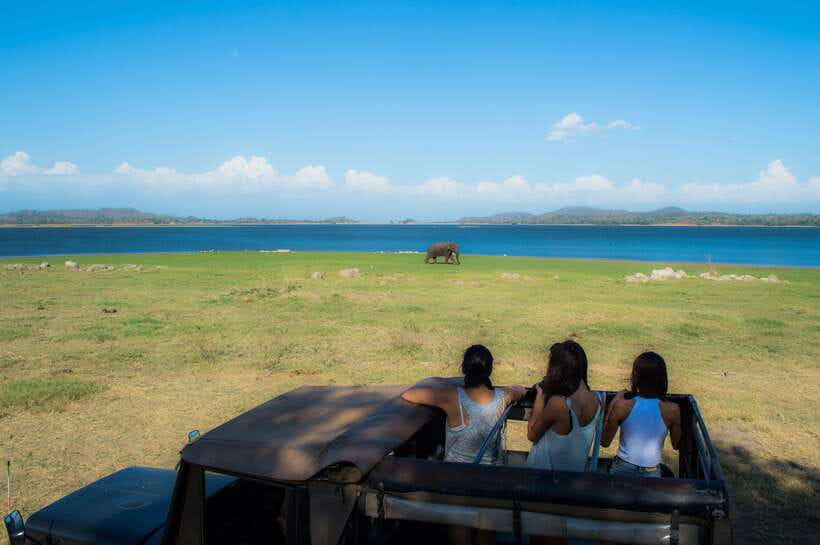 Colombo/Negombo: Sigiriya, Dambulla, and Minneriya Safari - Who will enjoy this trip most