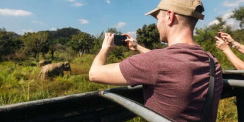 Colombo/Negombo to Sigiriya, Dambulla & Jeep Safari Day Tour - Who should book it?