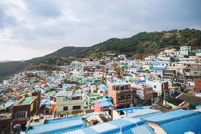 Cruise Layover Busan Highlight Tour with Sea temple and Gamcheon - Why this tour works for a single day in Busan