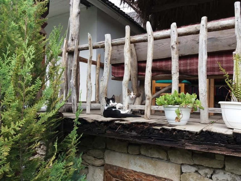 Curchi Monastery, Old Orhei and Cricova Winery (Optional) - A full day from Chisinau, with three very different Moldova experiences