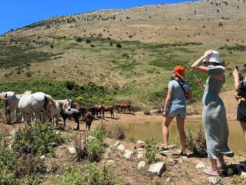 Daily Trip To:Blue Eye,Monastery,Gjirokaster&Lekursi Castle - The Blue Eye: clear water and a two-hour pause