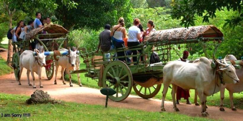 Dambulla: Caves Temple & Traditional Village Tour with Lunch - Hiriwadunna: a softer change of pace after the temple