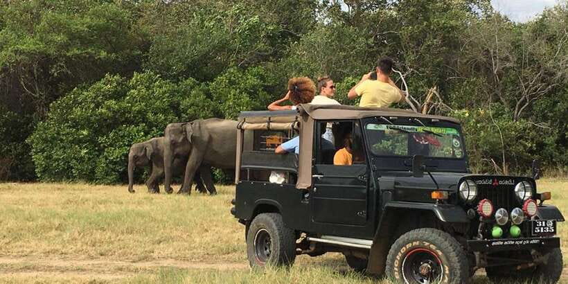 Dambulla/Sigiriya: Polonnaruwa & Minneriya Park Jeep Safari - Heat, Clothing, and Physical Demands