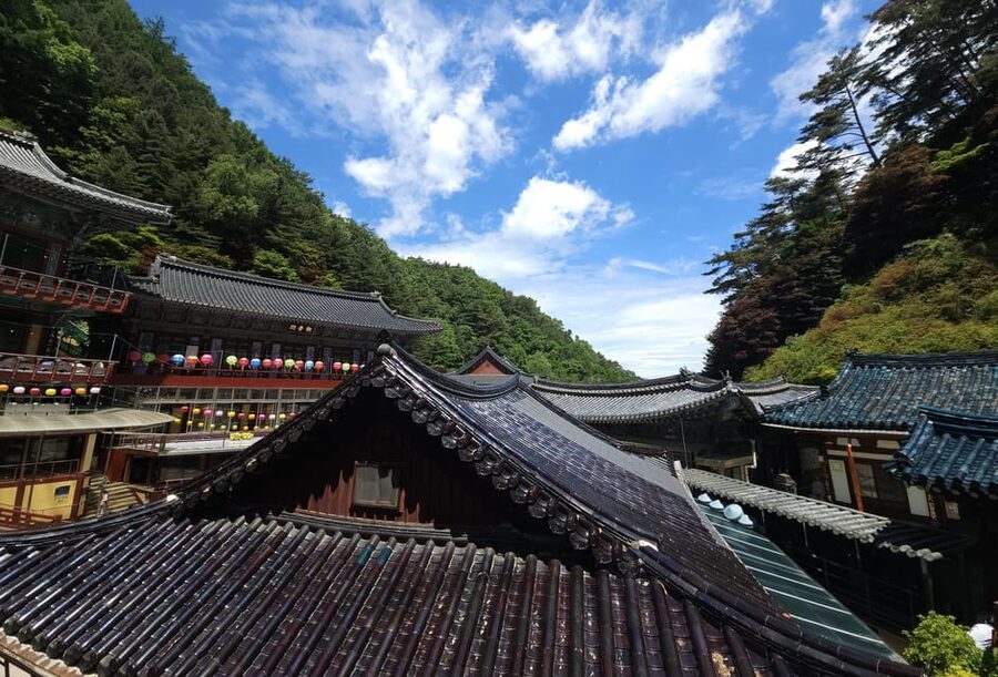 Danyang Tour:Guinsa Temple & Bobaljae & Cheongpung Cable Car - Who should book this Danyang outing?